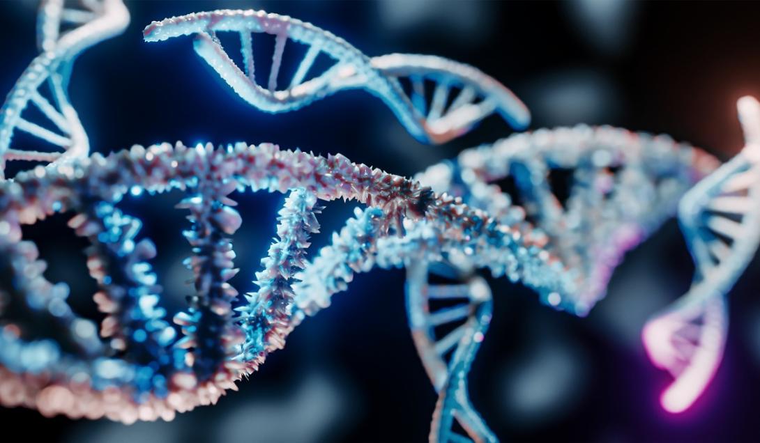 Una investigación científica descubrió que el ADN humano comenzó a evolucionar-0